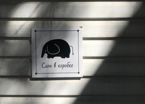 +79686631777 звонок из Слон в Коробке