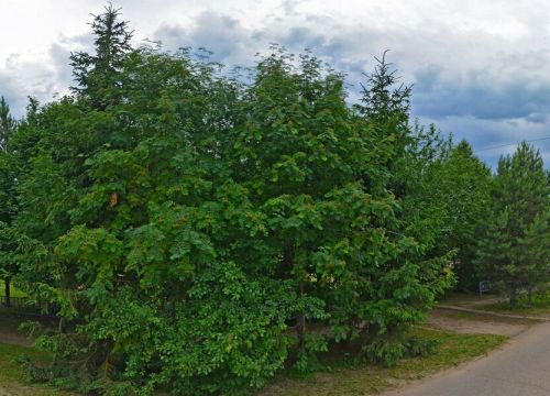 +79686632023 звонок из Компания АС