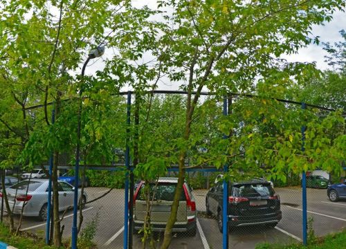 +79687031239 звонок из Miller Fight Club