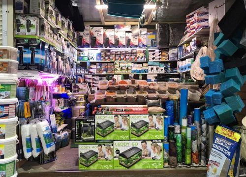 +79687741214 звонок из Aquariumtorg.ru