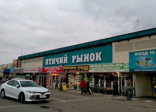 +79687741214 звонок из Aquariumtorg.ru