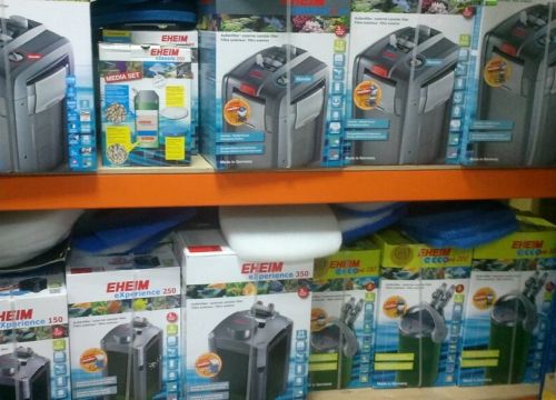 +79687741214 звонок из Aquariumtorg.ru