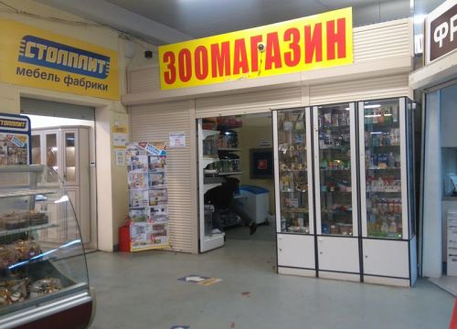 +79687920665 звонок из Сладкая косточка