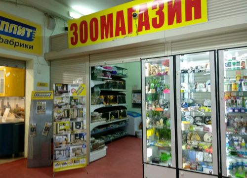 +79687920665 звонок из Сладкая косточка