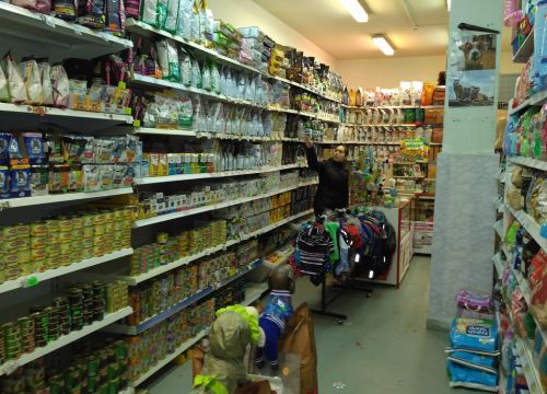 +79687920665 звонок из Сладкая косточка