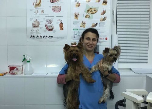 +79693490730 звонок из Ветеринарный консультант