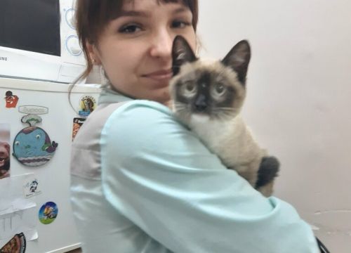 +79693490730 звонок из Ветеринарный консультант