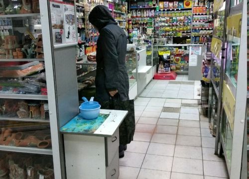 +79696563389 звонок из Бульдог