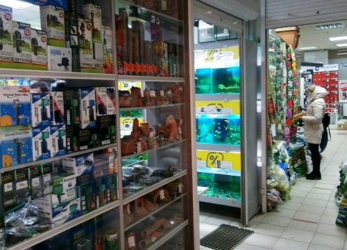 +79696563389 звонок из Бульдог