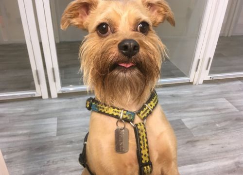 +79771030403 звонок из Собакин