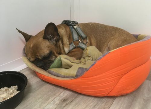 +79771030403 звонок из Собакин