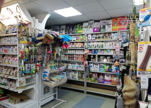 +79773513551 звонок из Зоодиета - Сыты! Здоровы! Счастливы!