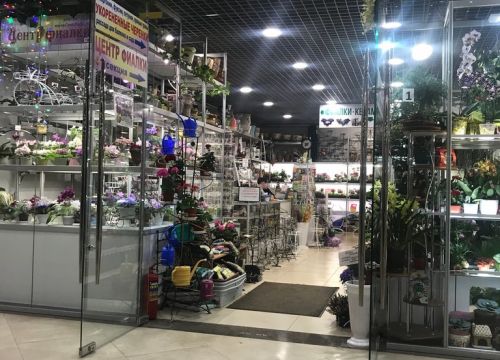+79773830558 звонок из Центр фиалки