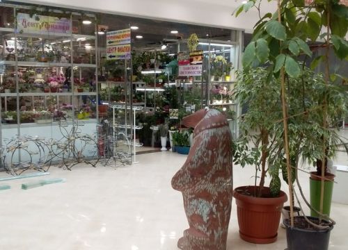 +79773830558 звонок из Центр фиалки