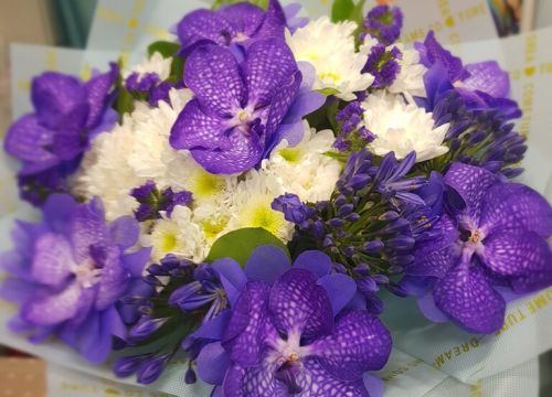 +79775424824 звонок из Flower's marino