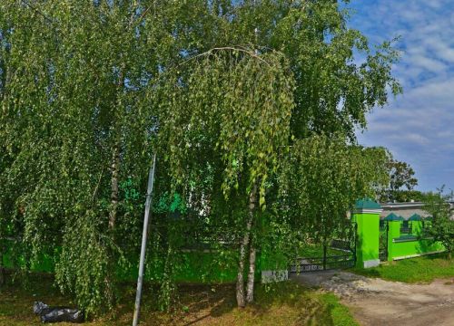 +79776641744 звонок из Цветы