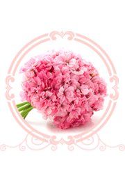 +79777791911 звонок из Райский сад