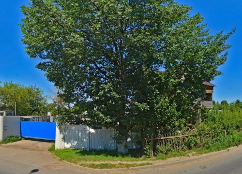 +79778721131 звонок из Colornumbers