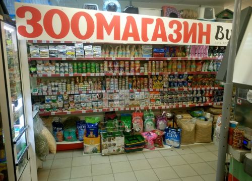 +79779311560 звонок из Вилли