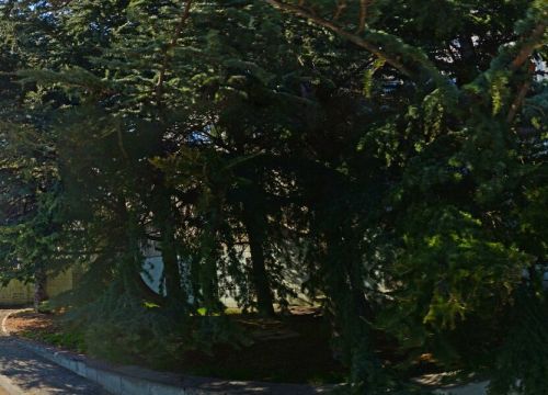 +79780747817 звонок из Полиция