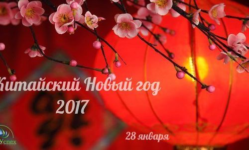 +79787461118 звонок из АкваУспех