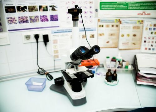 +79787623940 звонок из Авва