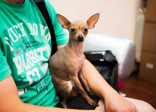 +79787623940 звонок из Авва