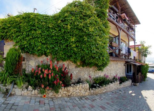 +79787635380 звонок из Новая Династия