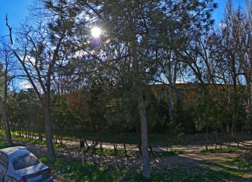 +79787690650 звонок из Оконный дворик