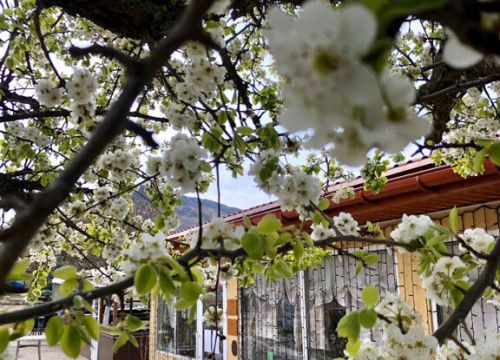 +79787974911 звонок из Орли