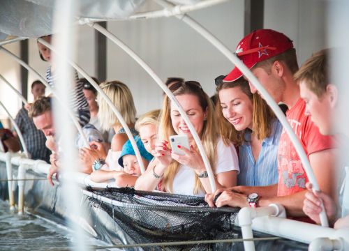 +79788150100 звонок из Крымские морепродукты