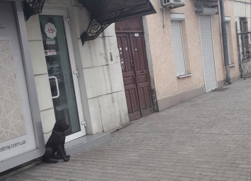 +79788201045 звонок из Анкор-сервис