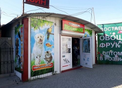 +79788322958 звонок из Любимчик