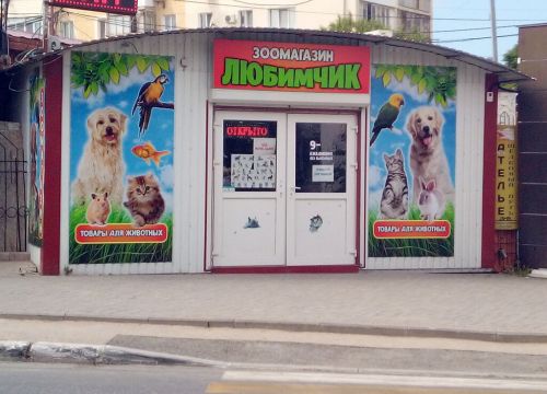 +79788322958 звонок из Любимчик