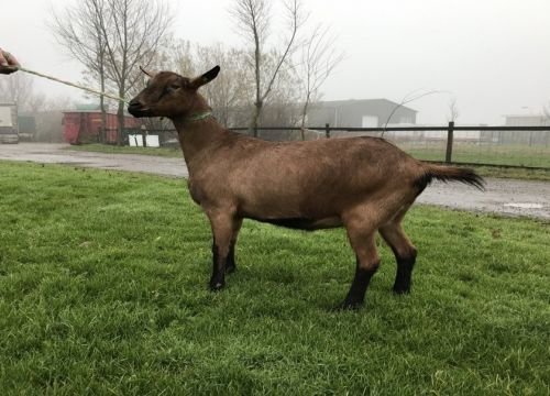 +79814572668 звонок из Петерсдорф