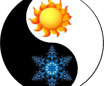 +79817564577 звонок из Сервис-Комфорт