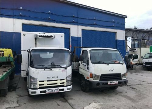 +79819790101 звонок из АВ-сервис