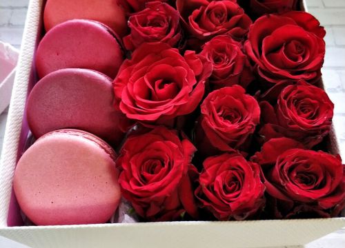 +79824935383 звонок из Presentino