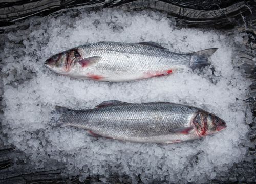 +79850800025 звонок из Марестес