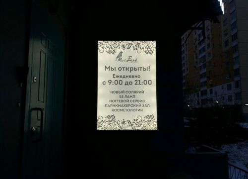 +79851230846 звонок из Mint Bird