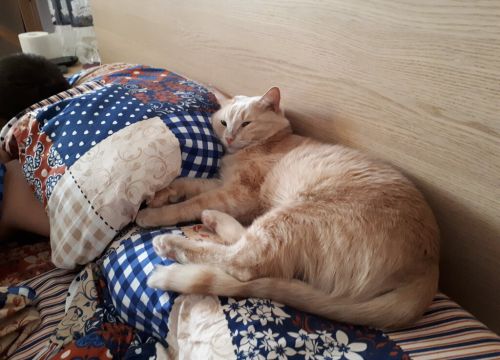 +79852501178 звонок из Белый Волк