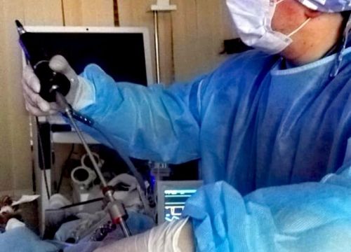 +79852501178 звонок из Белый Волк