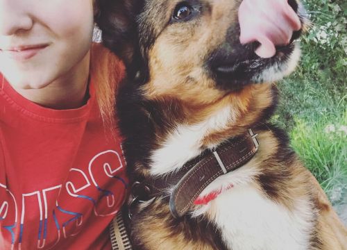 +79854170293 звонок из Дрессировка собак. Кинолог