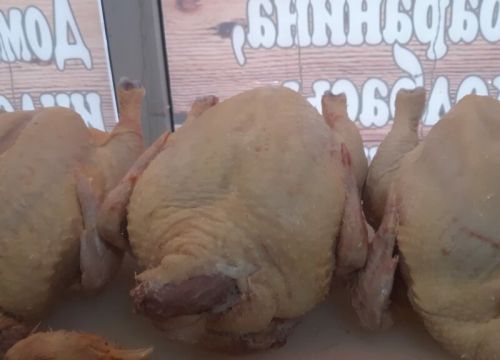 +79855741336 звонок из Мясо Халяль