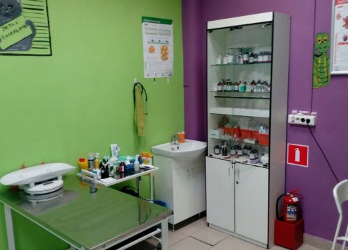 +79855742420 звонок из Младший брат