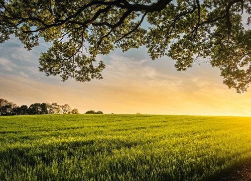 +79856263888 звонок из Specchiasol