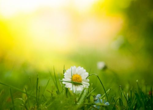 +79856263888 звонок из Specchiasol