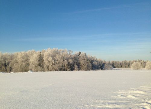 +79857130040 звонок из Барвиха Лайт