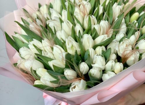 +79857700041 звонок из ТимьянБукет