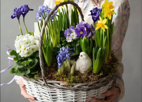 +79857700041 звонок из ТимьянБукет